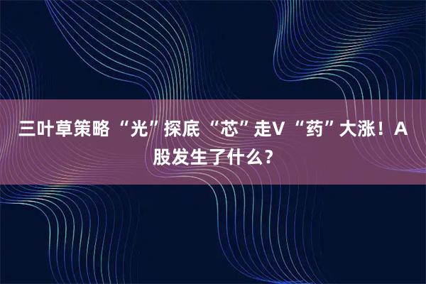 三叶草策略 “光”探底 “芯”走V “药”大涨！A股发生了什么？